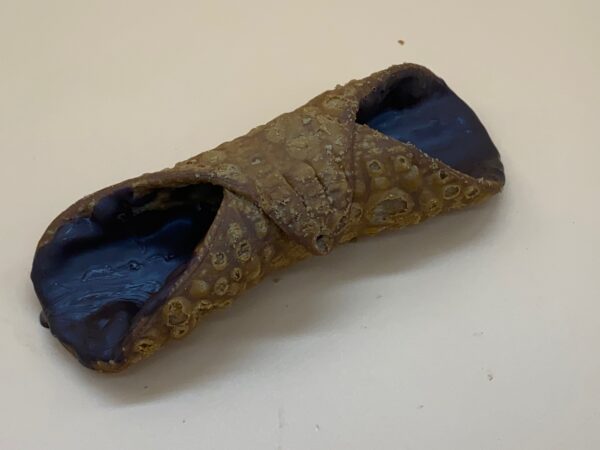 Cannolo medio glassato al cioccolato - immagine 4